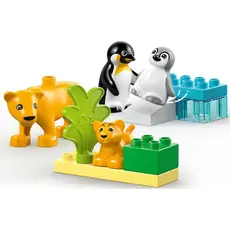 LEGO Constructor Wild Animal Families: Penguins & Lions, 3 image