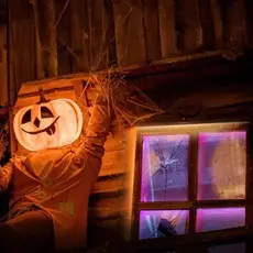 Lighting TP-Link Tapo L920-5 Smart Wi-Fi LED Light Strip, 5 m, RGBIC, 16M Colors, 50 Color Zones, Alexa/Google, 4 image