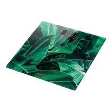 Scale Ardesto SCB-965LEAVES