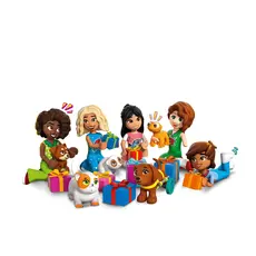 LEGO Constructor Advent Friends 2025, 4 image