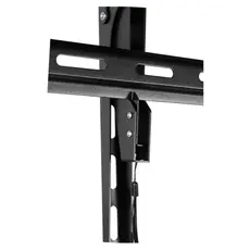 TV mount Stell Adjustable mount for TV, Max. loading: 120 kg SHO 7420, 5 image