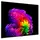 TV LG OLED77G6RLA.AMCN, 2 image