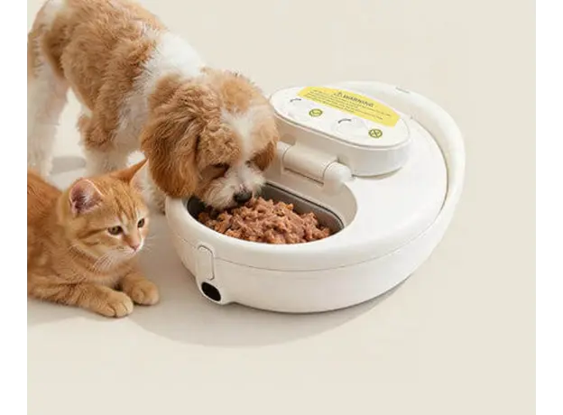 Automatic cat food dispenser UBTech UCAT F21, UBPet Smart Pet Feeder, White, 6 image