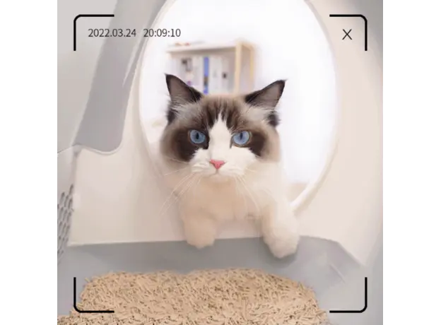 Smart Cat House UBTech UCAT C10 PRO, Smart Cat Litter Box, White, 14 image