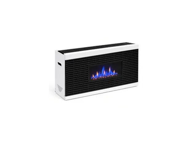 Gas heater HOSSEVEN HDU-10 White Zebra (100-120 m2), 2 image