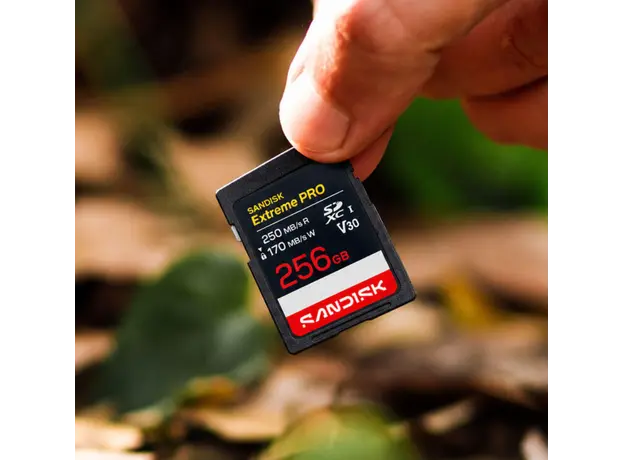 Memory card SanDisk 256GB Extreme PRO SD/XC UHS-I Card 250MB/S V30/4K Class 10 SDSDXXJ-256G-GSCIN, 3 image
